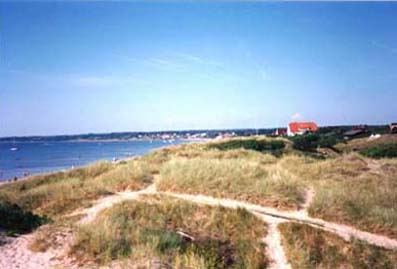 Strand_vanster.JPG (19160 bytes)
